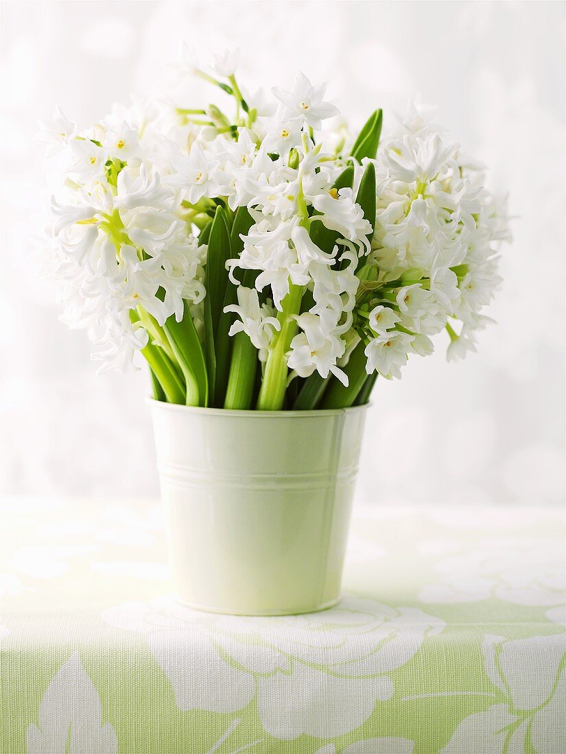 White hyacinths in a bucket