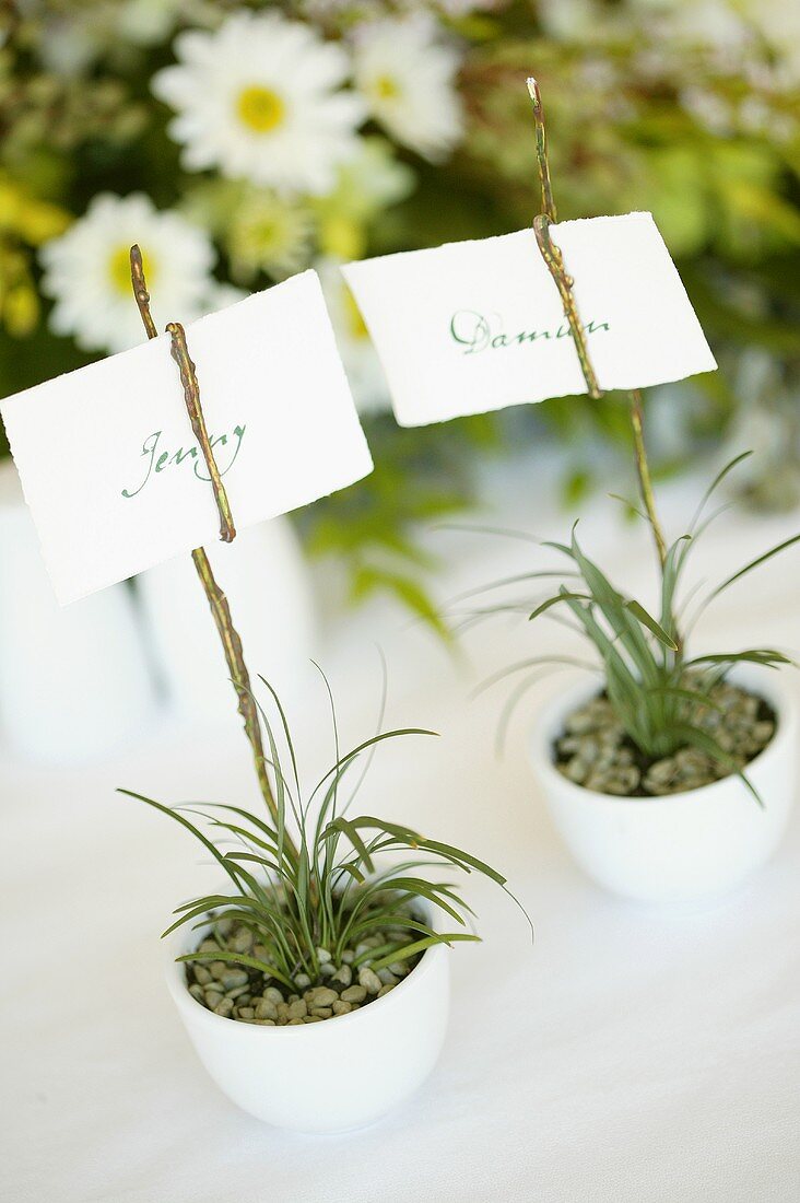 Two place cards in small flowerpots