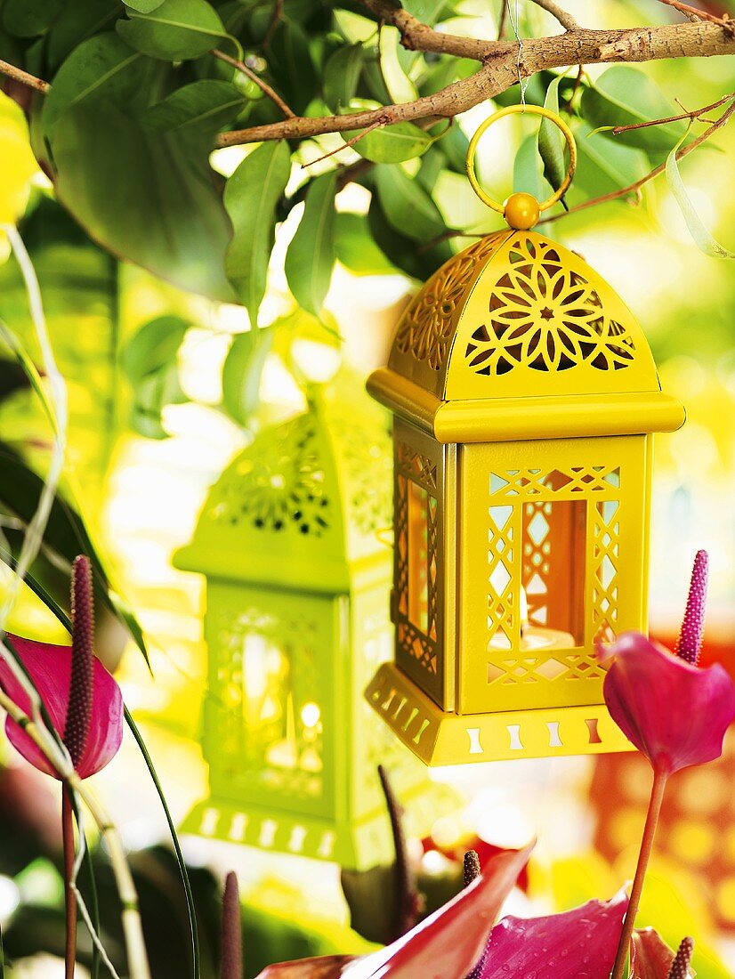 Coloured lanterns (garden decorations)