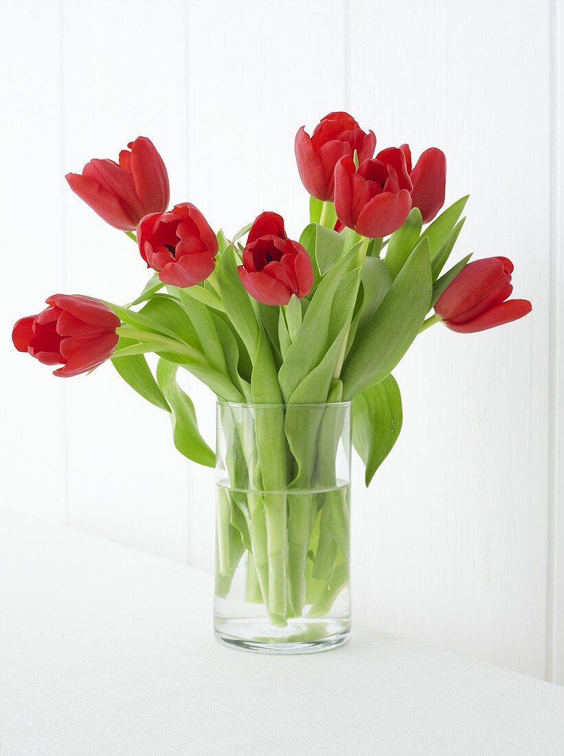 Bunch of tulips in a glass vase