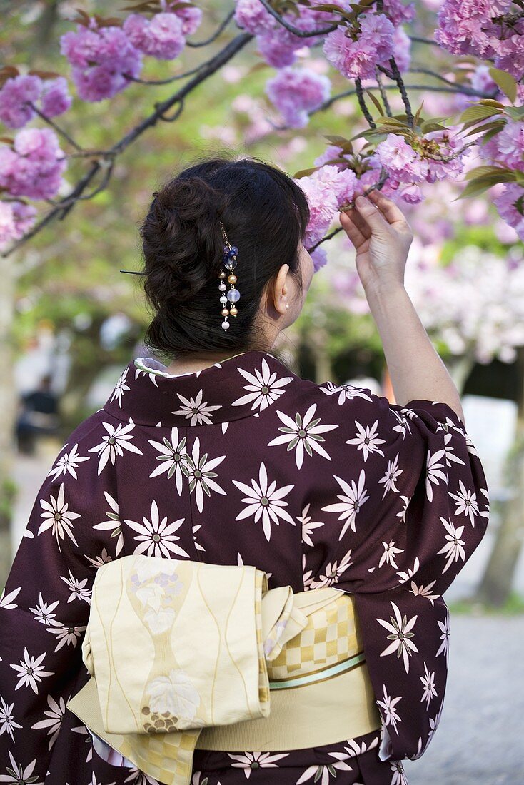 Frau im braunen Kimono riecht an Kirschblüten