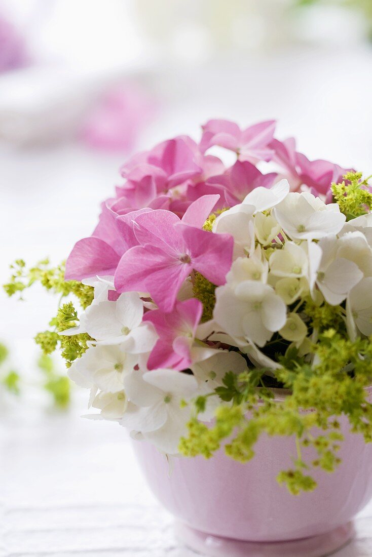 Posy of lady's mantle and hydrangea