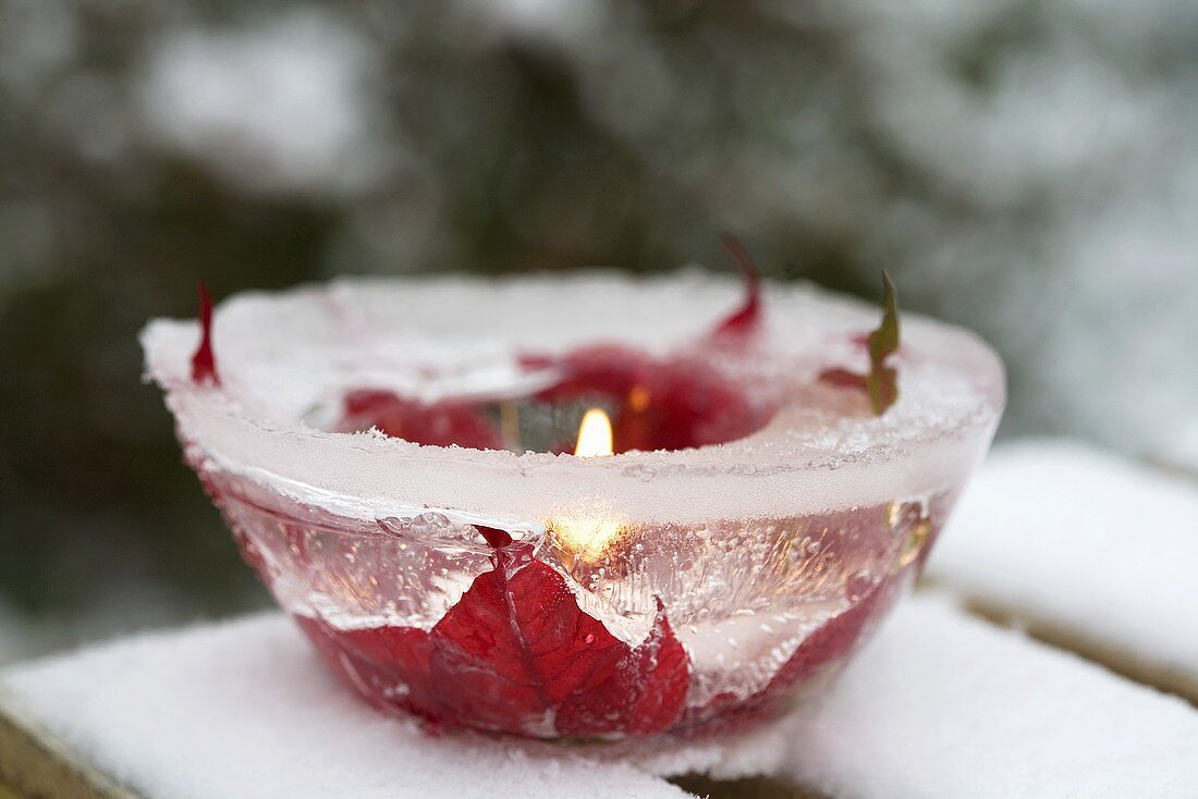 Ice bowl with poinsettia flowers frozen into it and candle