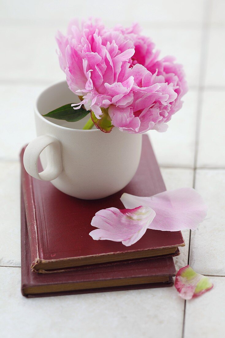 Pink peony in a cup on books