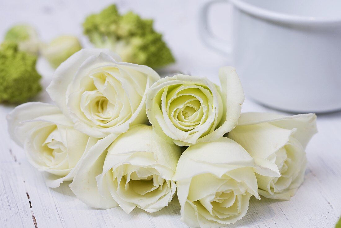 White roses (Athena)