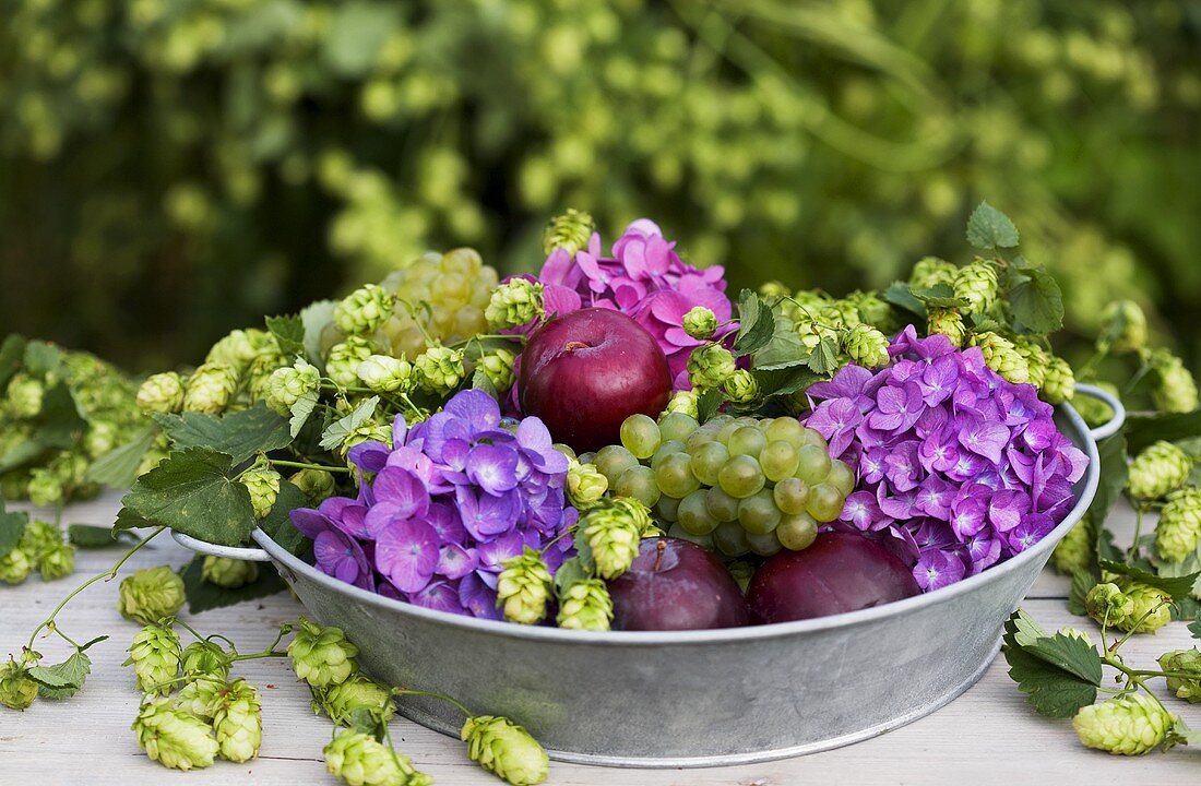 Blumengesteck mit Hopfen, Hortensien, Trauben und Pflaumen