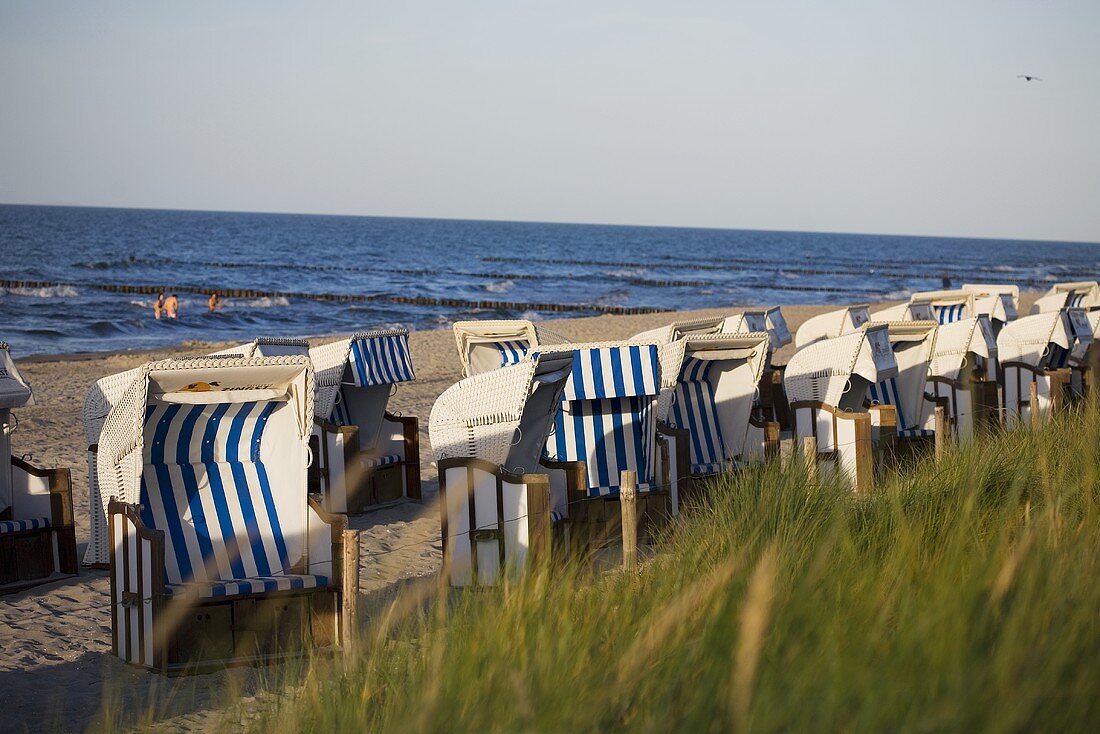 Dunes and canopied beach chairs on the Baltic coast, Zingst