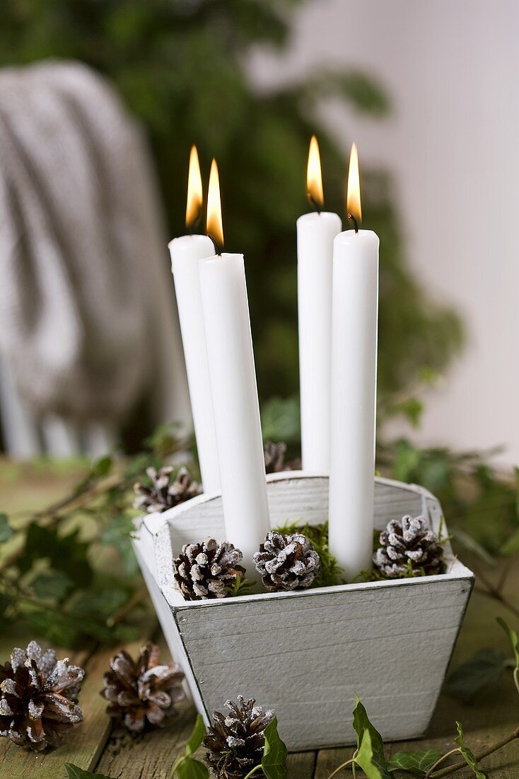 Kerzen in Holzkistchen mit frostigen Tannenzapfen und Moos