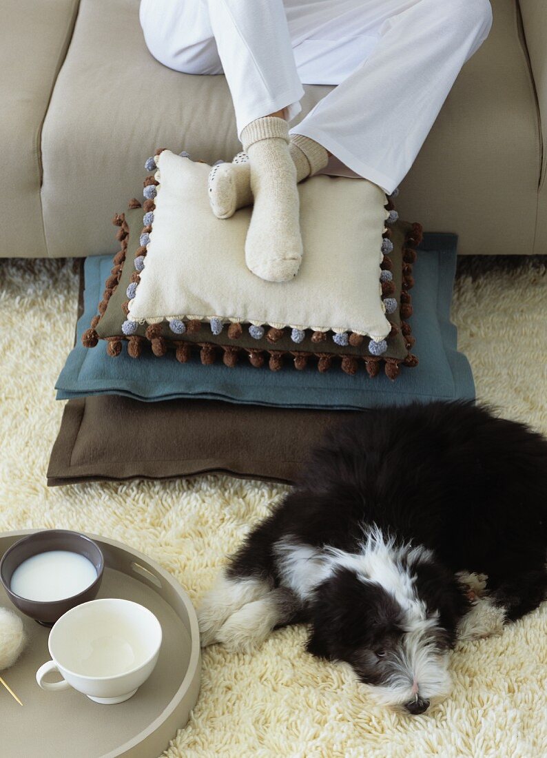 Dog lying on rug and person sitting on sofa with feet on scatter cushions