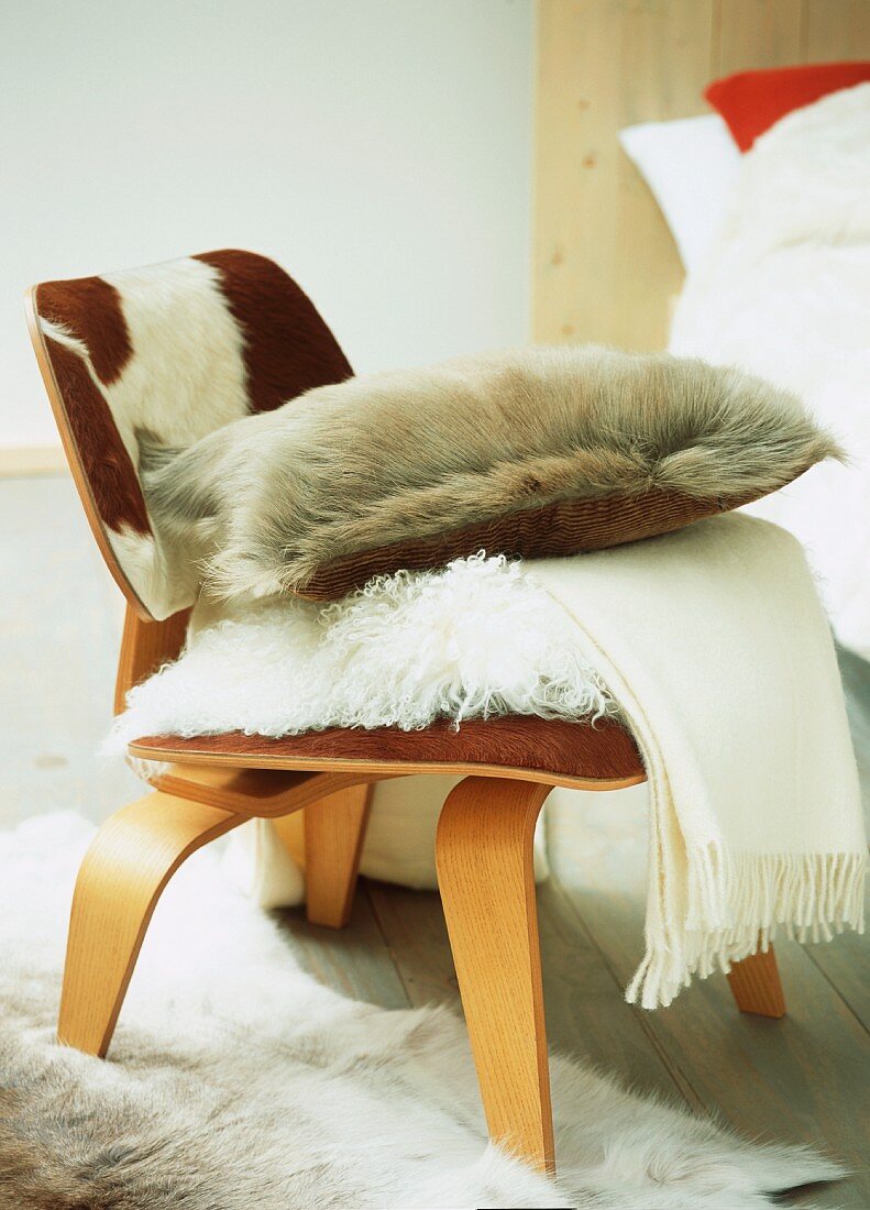 Cow skin armchair with woollen blanket and scatter cushions