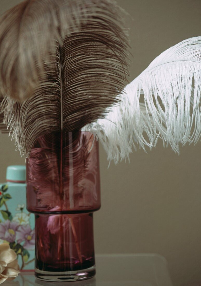 Ostrich feather in vase