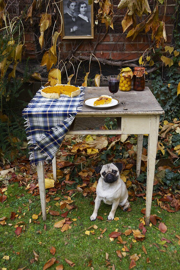An autumnal table laid with pumpkin pie