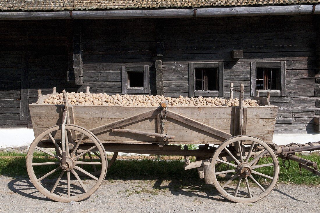 Kartoffeln auf einem Holzwagen