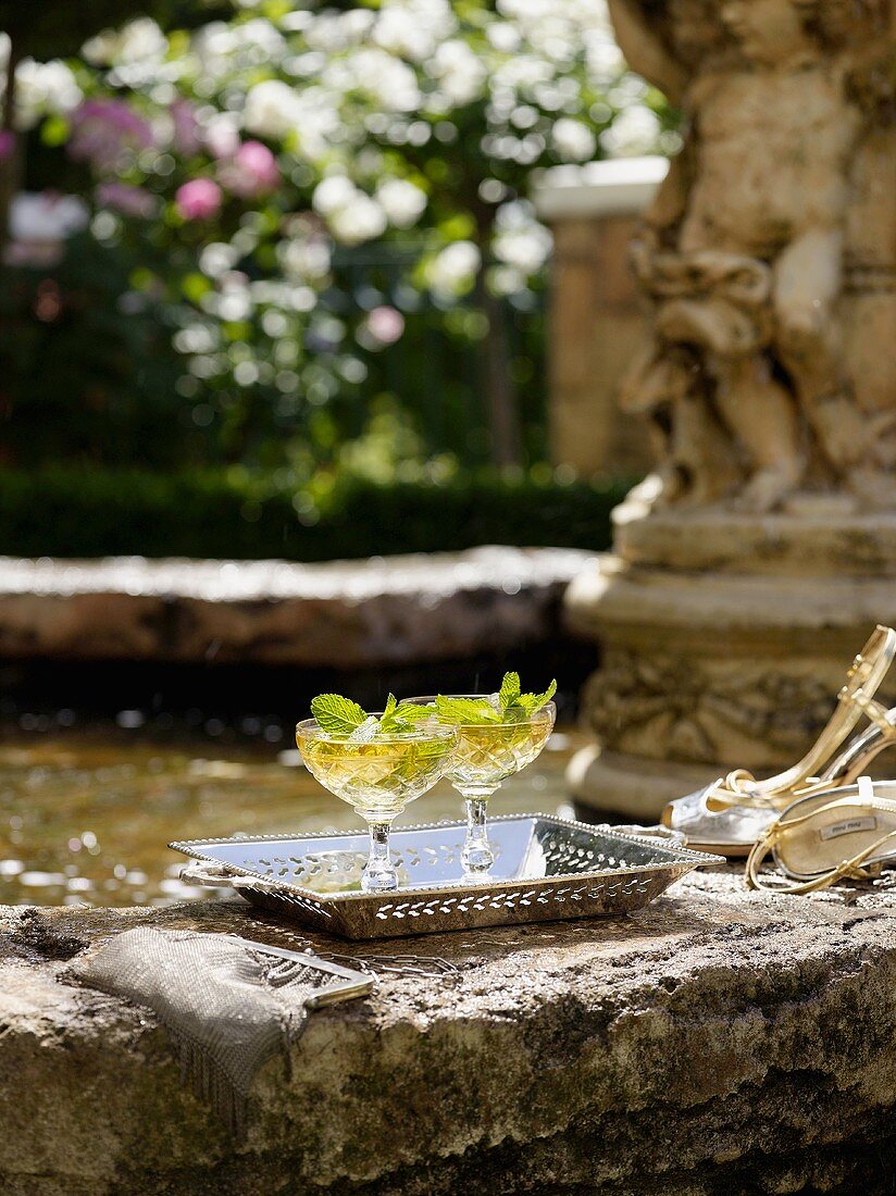 Aperitifs with mint by a romantic garden fountain