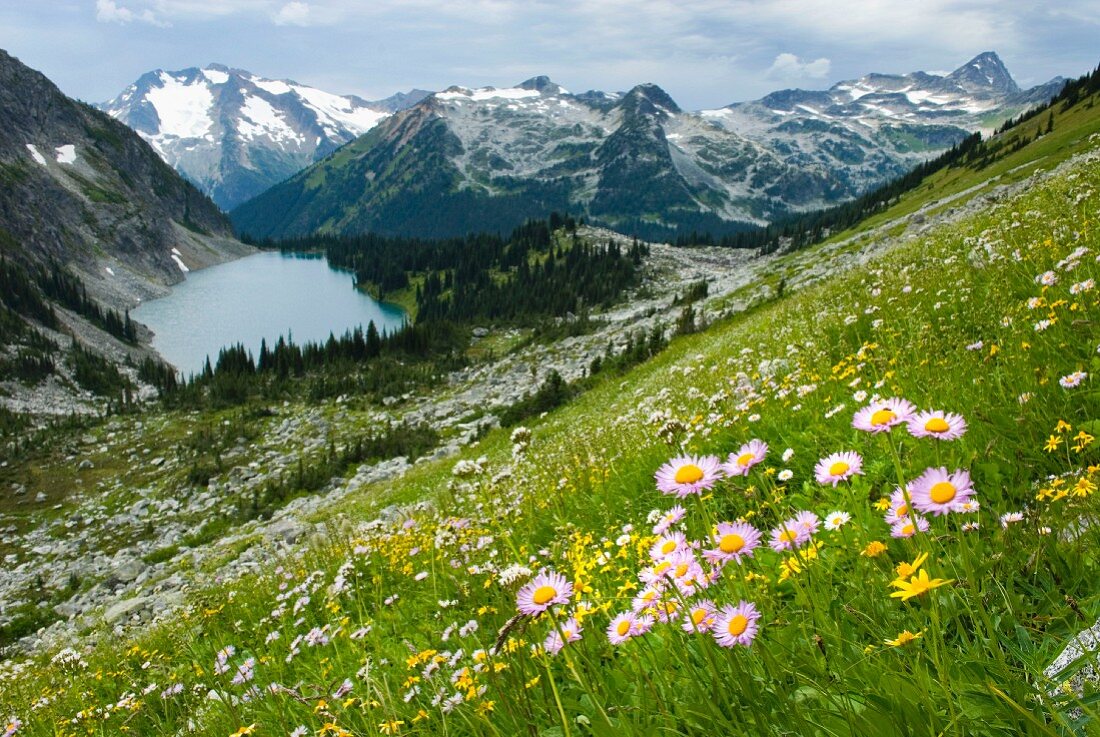 Bergpanorama über Rohr Lake, Coast Mountains, British Columbia, Kanada