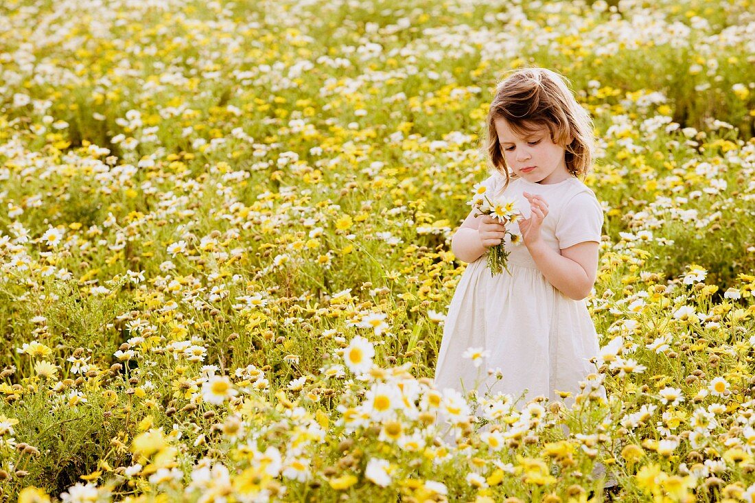 Girl in wildflower meadow
