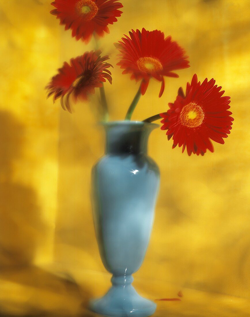 Rote Sommerblumen in blauer Vase