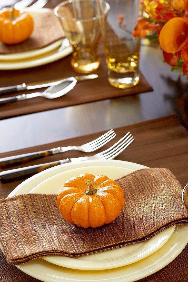 Place Settings with Gourds on Thanksgiving Dining Table