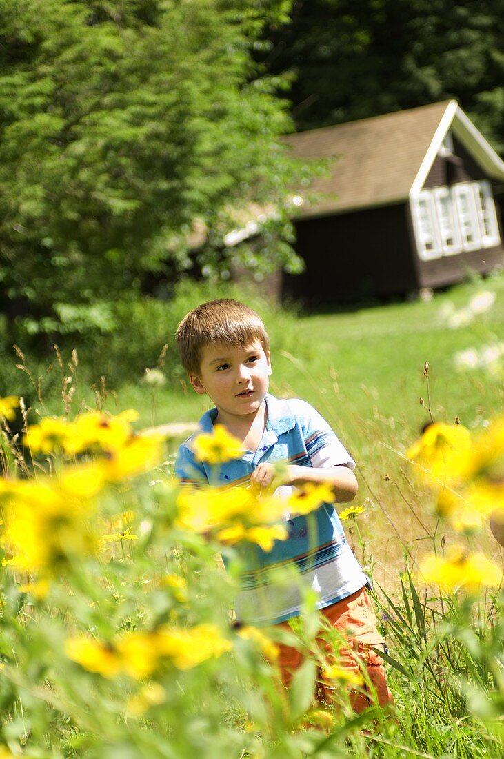 Kleiner Junge läuft durch Blumenwiese