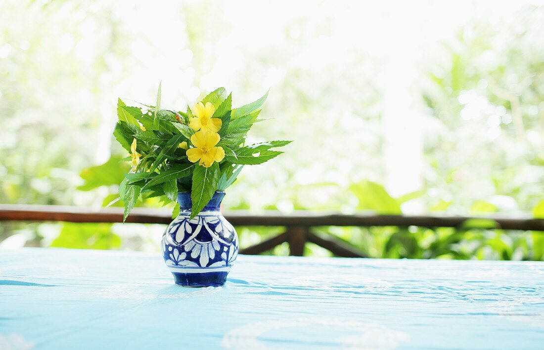 Gelbe Wildblumen in Vase auf Gartentisch