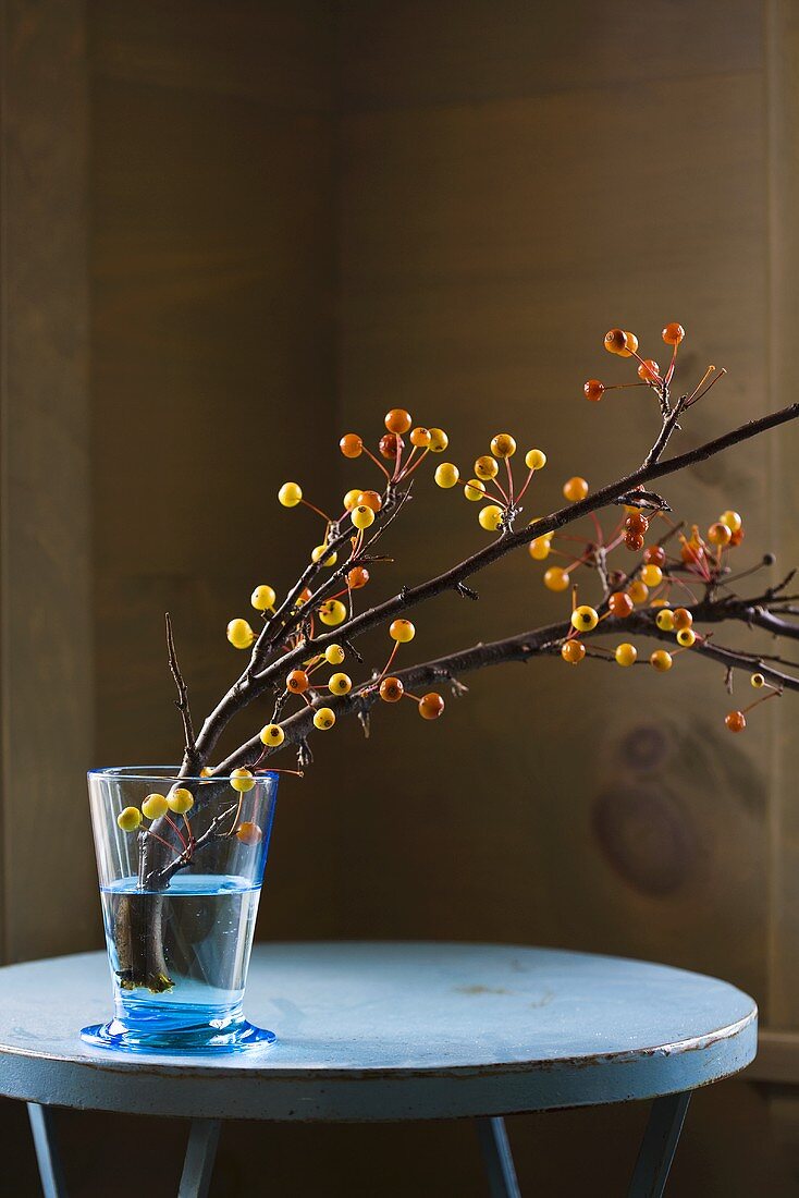 Zierapfelzweige in Vase auf blauem Tisch