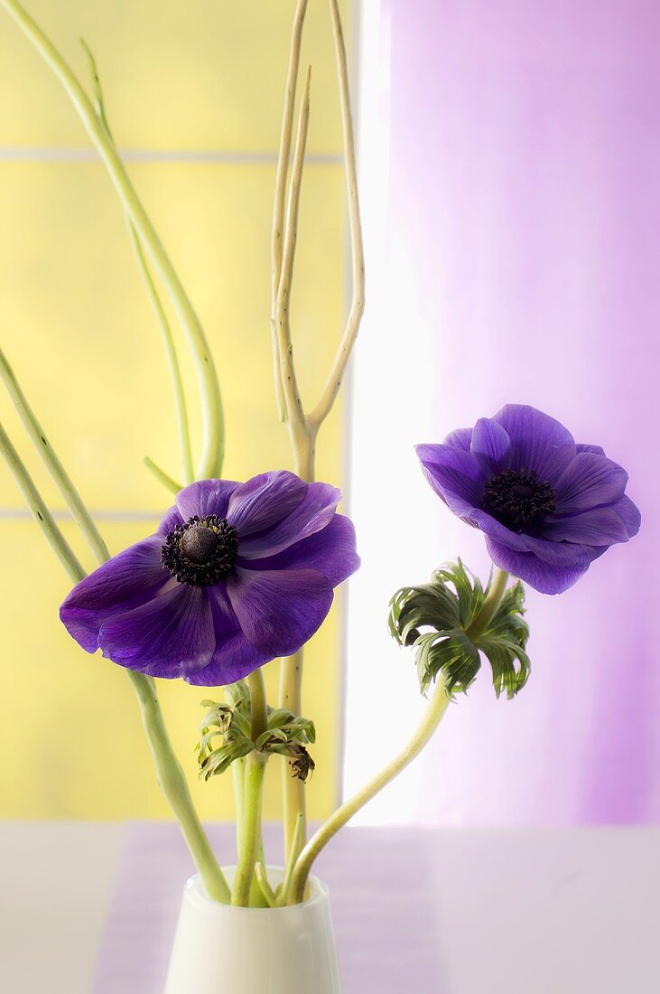 Violette Blumen und Blumenzweige in einer Vase