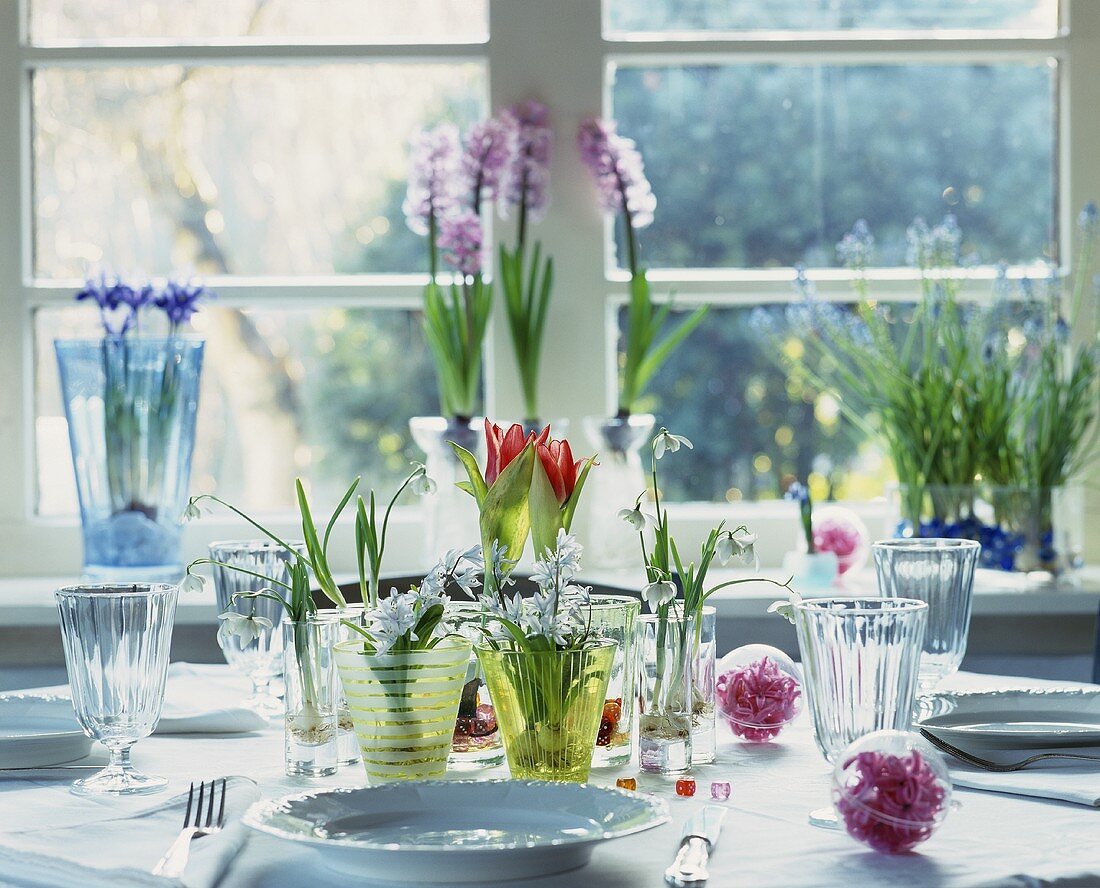 Spring flowers arranged on a table
