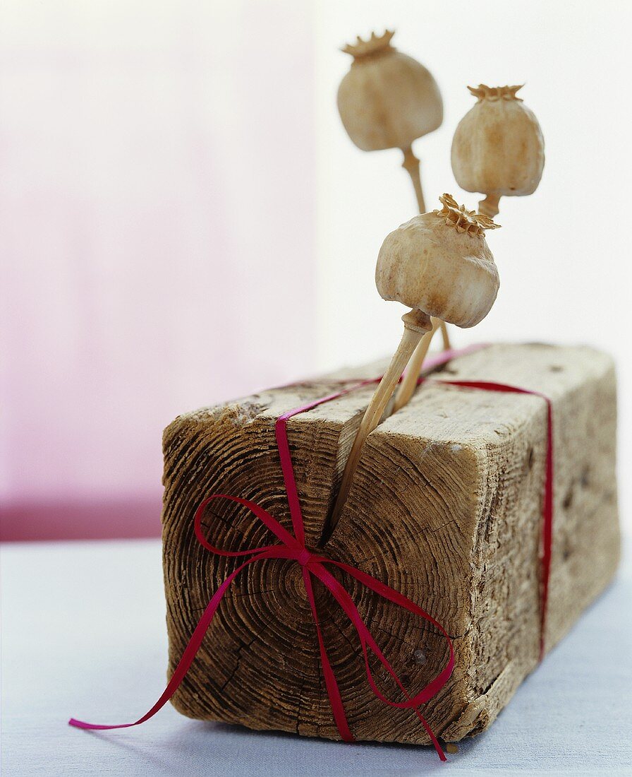 Poppy seed heads stuck in a block of wood with a red ribbon wrapped around it