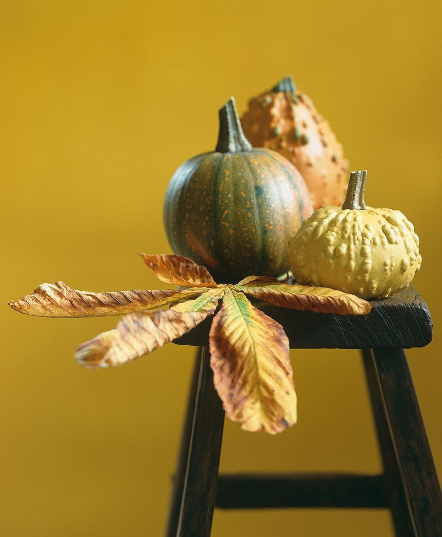 Ornamental pumpkins with chestnut leaves on a stool