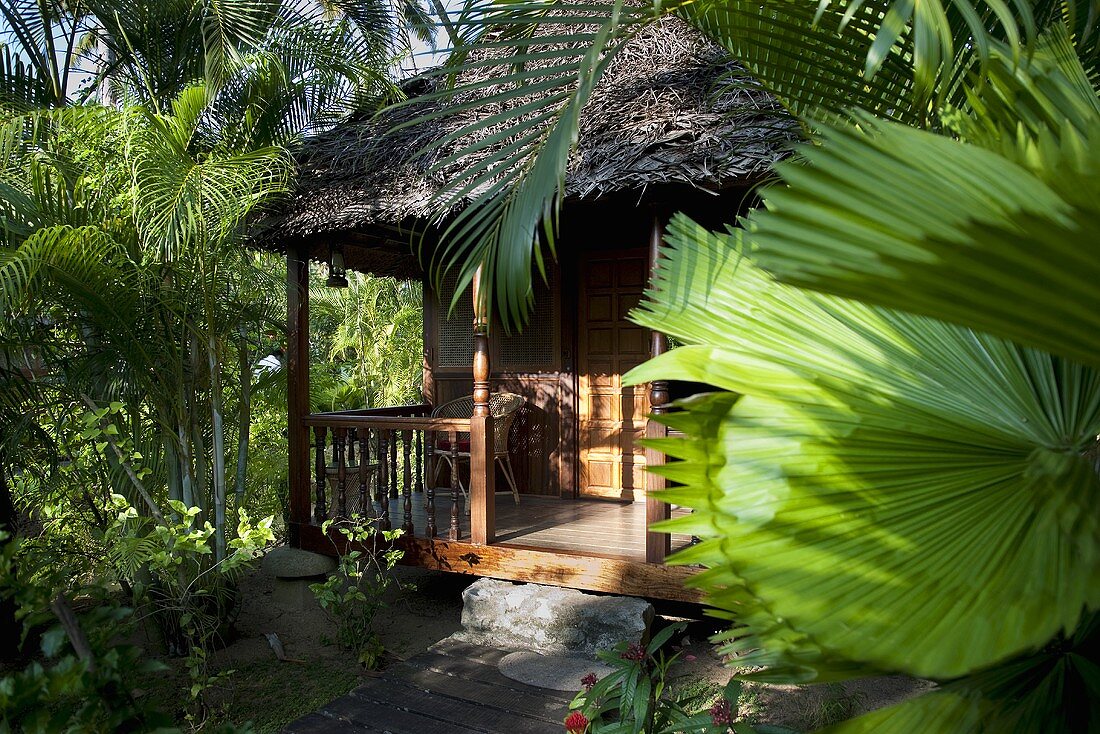 A view of a wooden house with thatched roof and a sunny terrace in the jungle