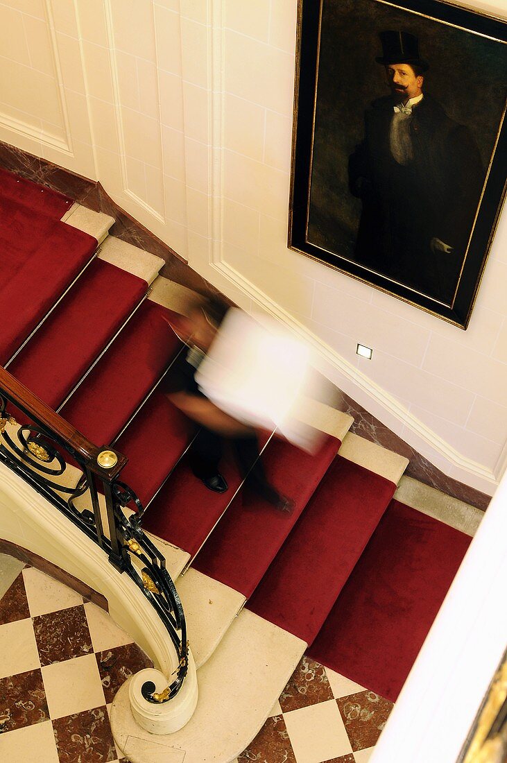 Looking down on an elegant stairway with a red carpet