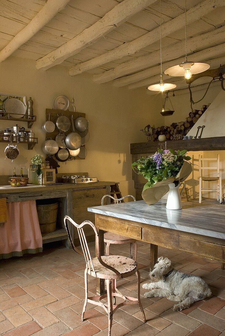 Rustikale Küche mit Essplatz und Hund auf Mediterraner Terrakottaboden