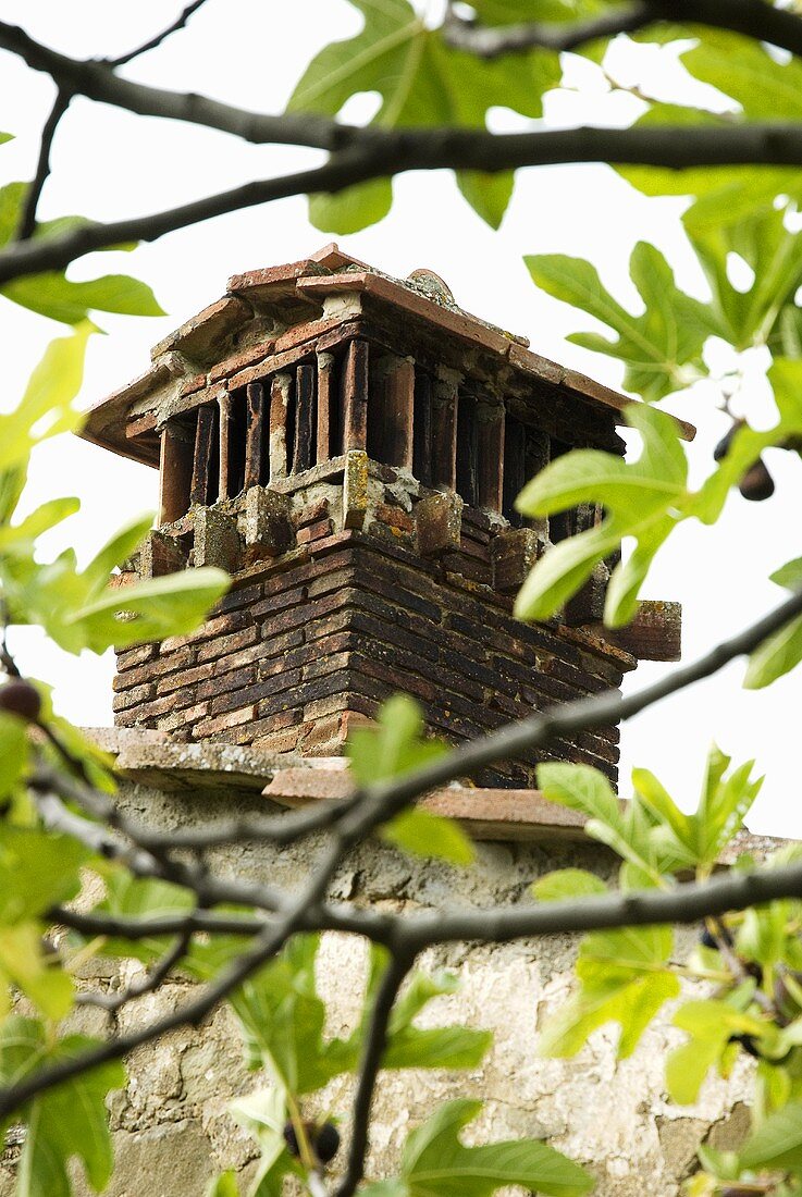 View through branches onto a rustic brick chimney on a roof