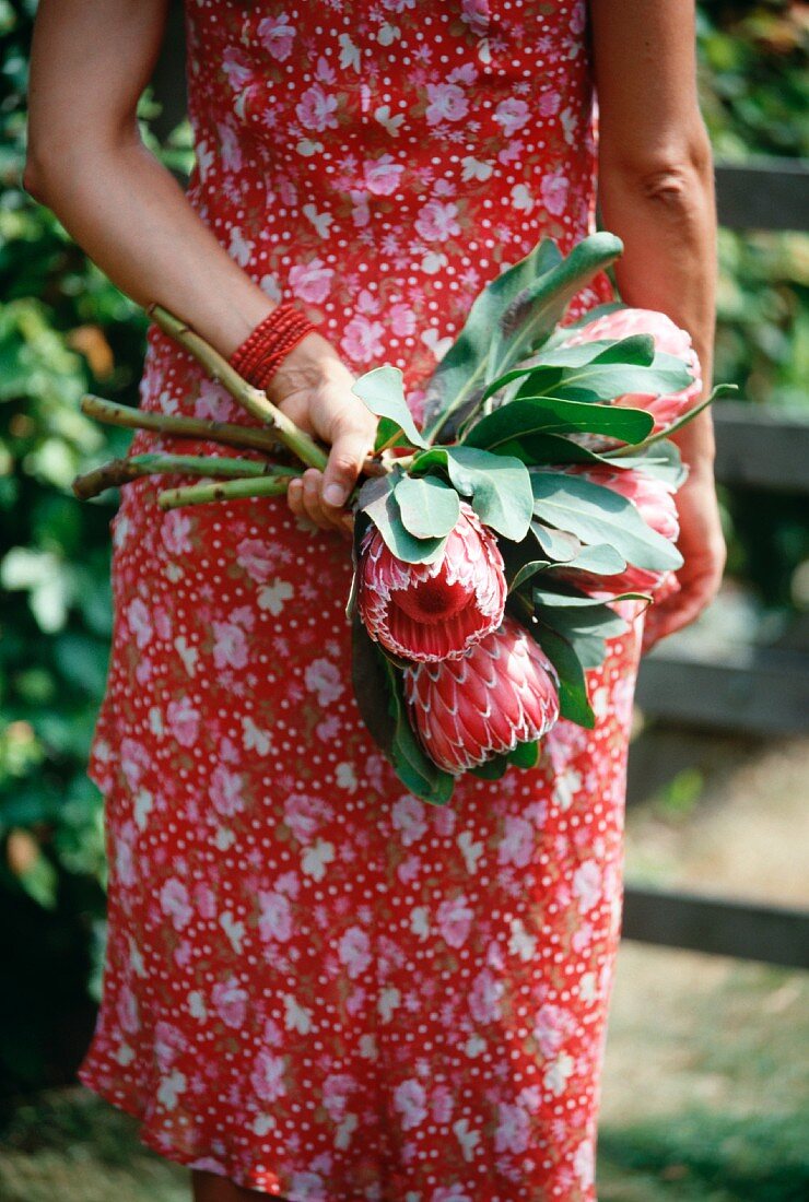 Frau hält Blumenstrauss mit Protea hinter ihrem Rücken