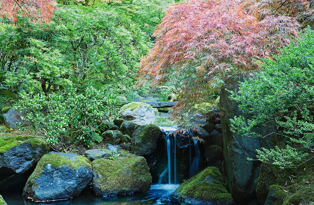 Waterfall and Bridge in Japanese Garden.  Portland, Oregon, USA
