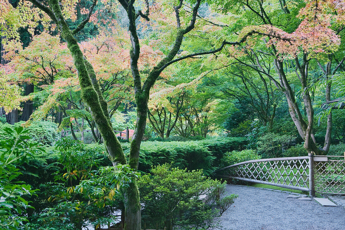 The Japanese Garden in Portland is a 5.5 acre garden and retreat.  Said to be one of the most authentic Japanese Garden's outside of Japan, the rolling terrain and water features symbolize both peace and strength.