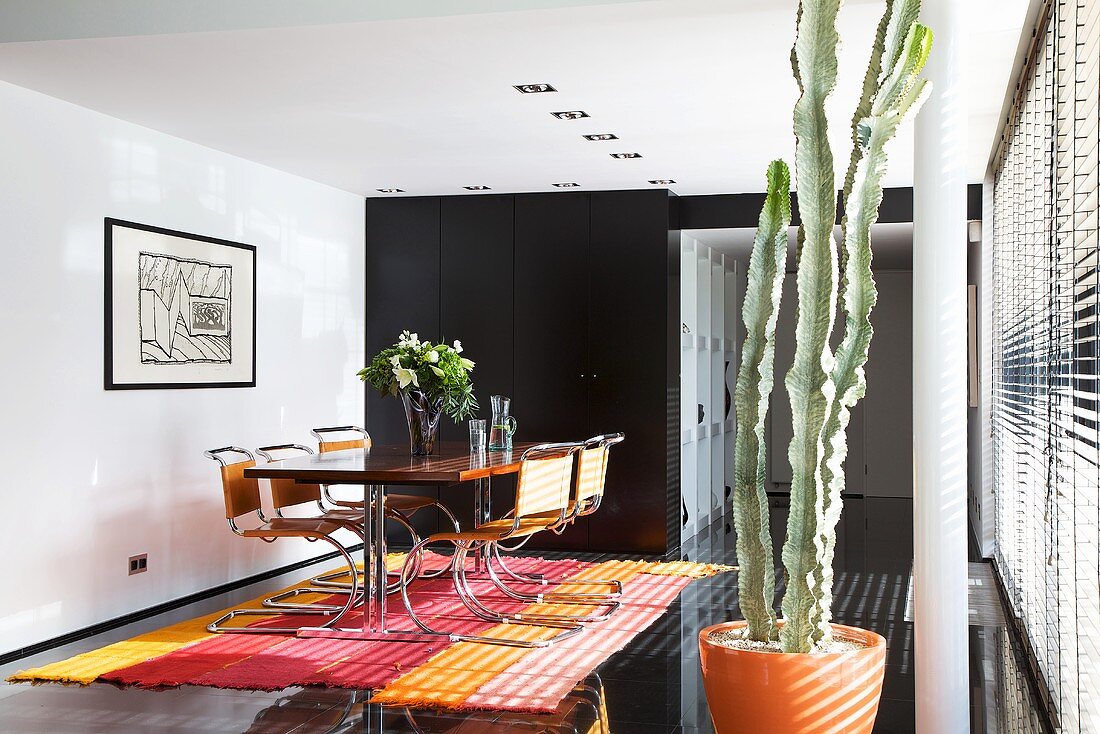 A dining table with cantilever chairs on a striped rug on black floor tiles with a cactus in an orange pot