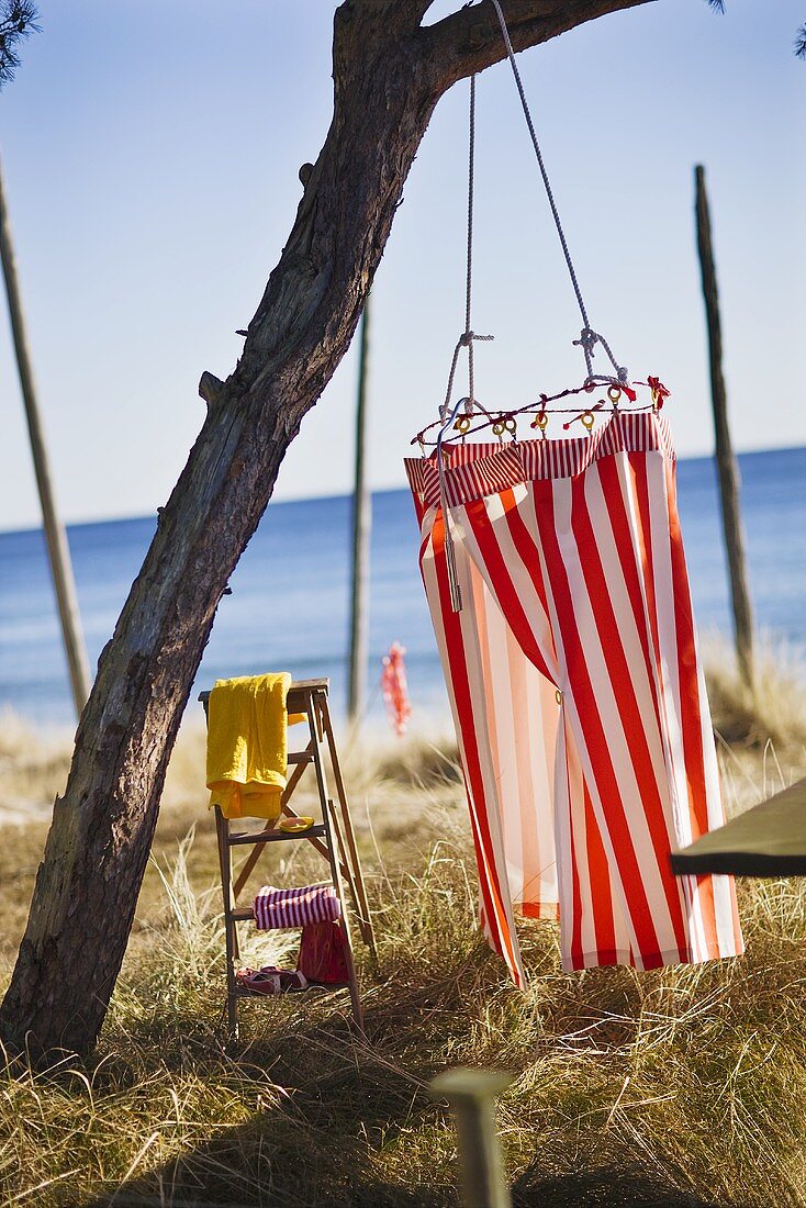A red and white striped changing cabin hanging from a tree on a beach with a sea view