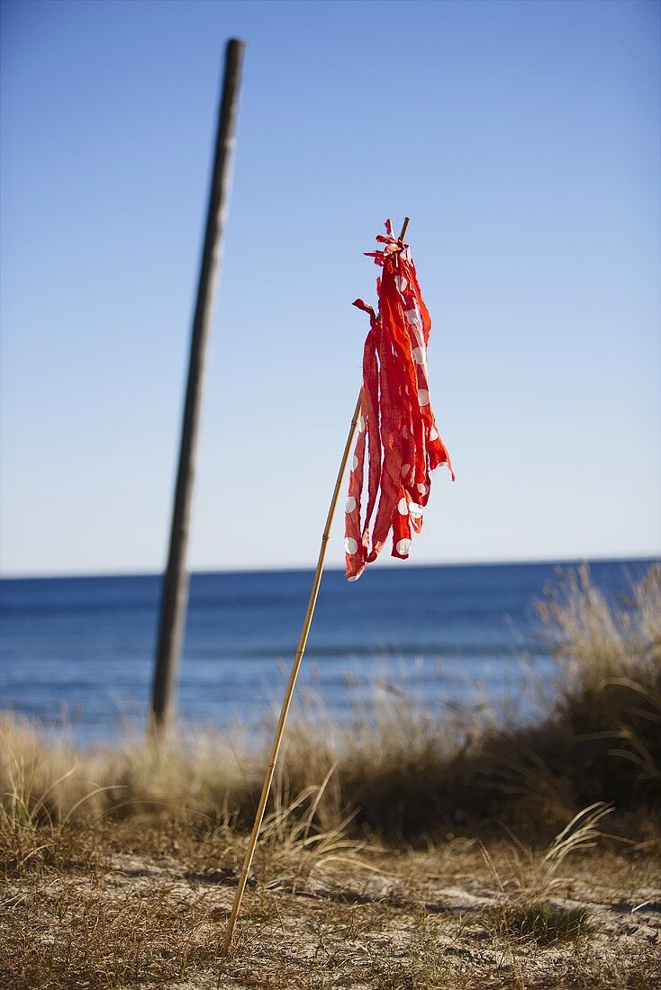 Strips of red fabric on a stick stuck in the sand with the sea in the background