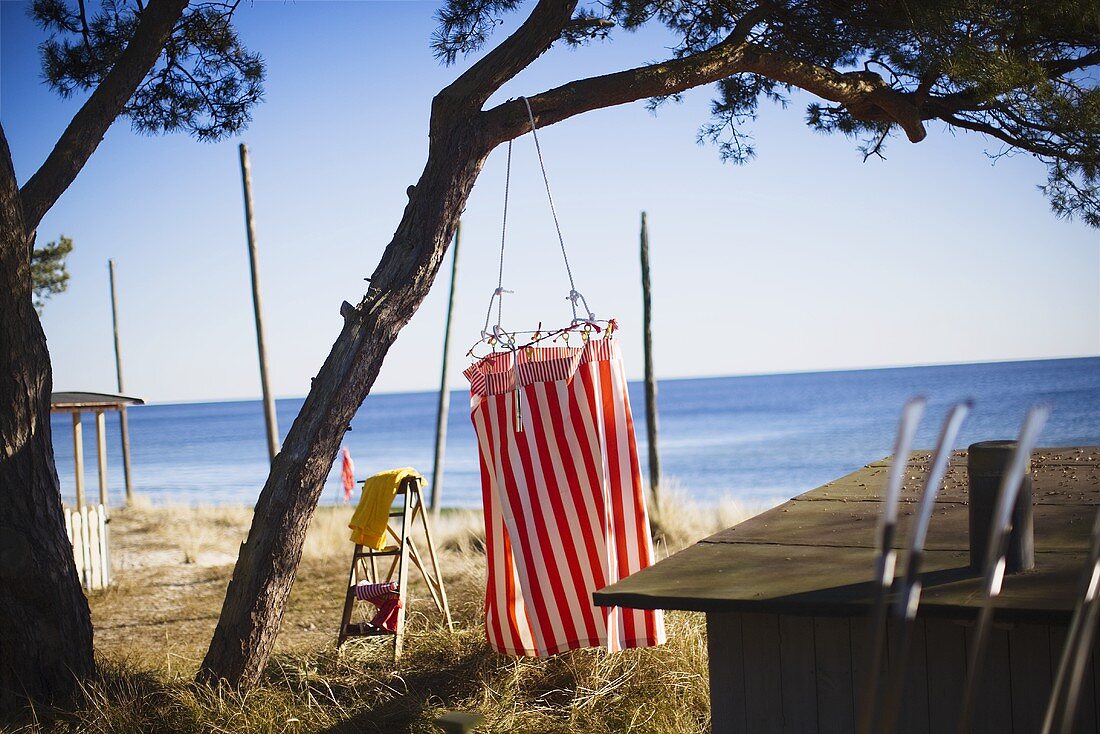 A sandy beach with a view of the sea and a red and white striped changing cabin hanging from a tree