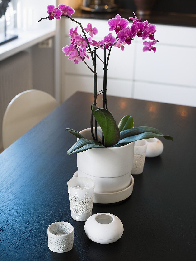Rosa Orchidee in weißem Übertopf und verschiedene Windlichter auf Tisch