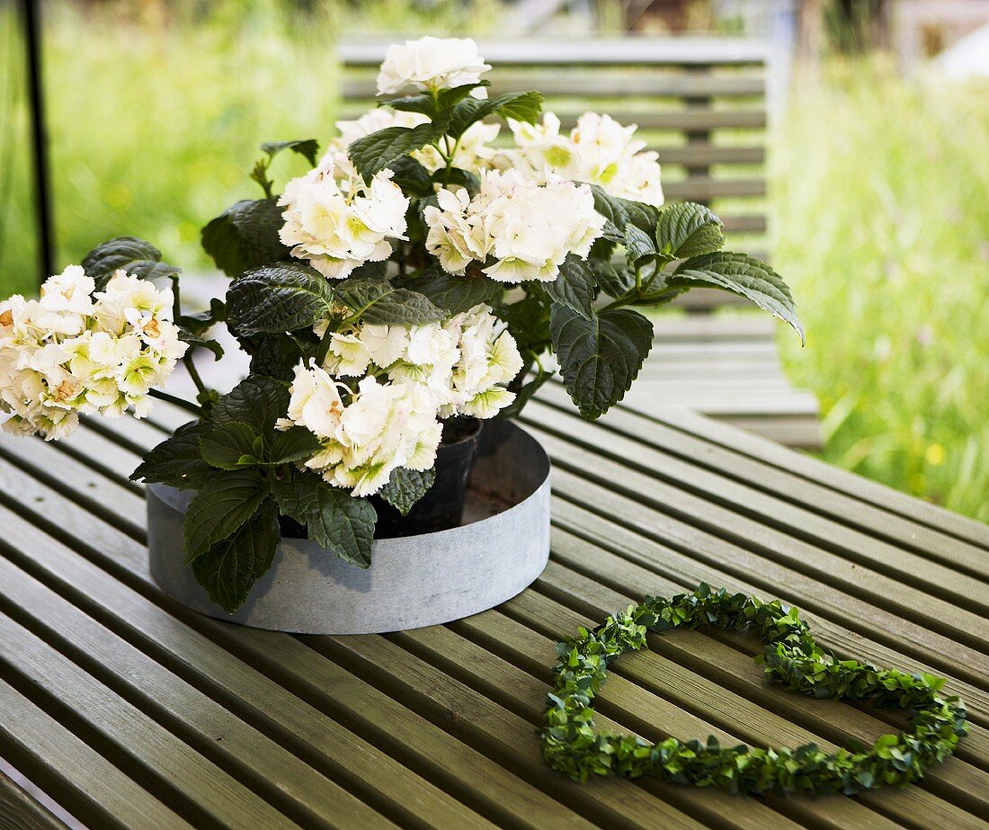 weiße Blumen in Metallschale und herzförmiger Blätterkranz auf einem Gartentisch