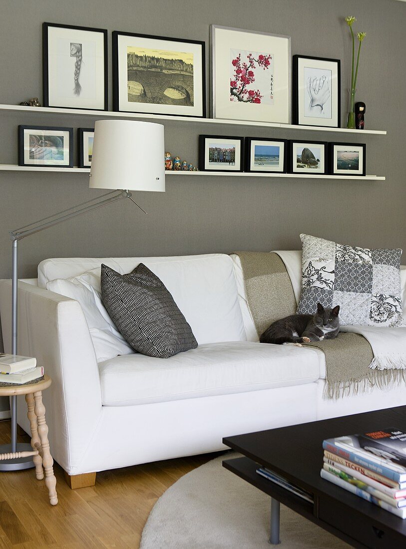 A cat on a white sofa and a floor lamp against a grey wall with framed pictures on a white shelf