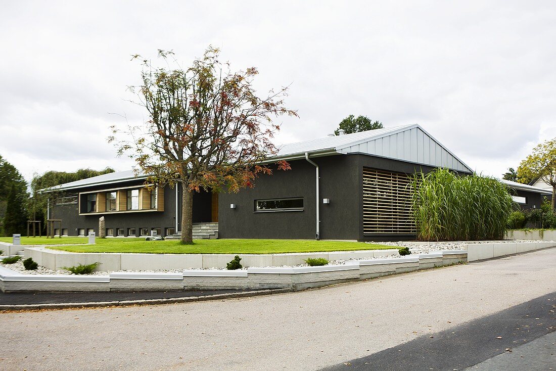 Eingeschossiges Neubau-Haus mit grauer Fassade und gestaltetem Vorgarten mit Baum