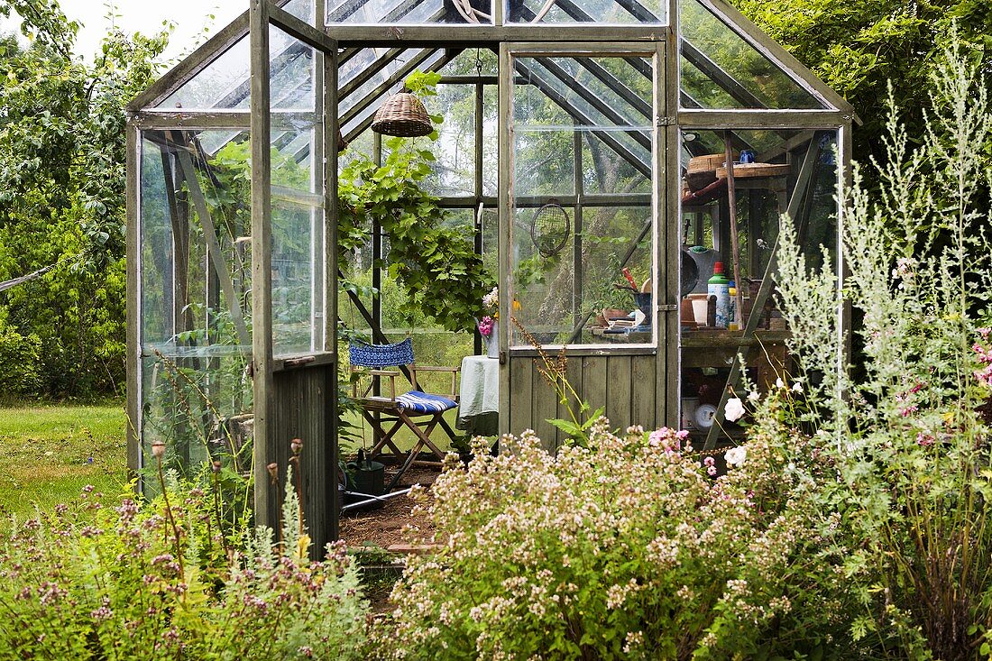 A greenhouse in a garden with blooming white flowers