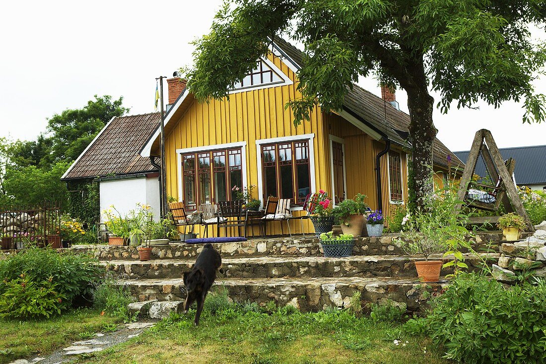 A wooden, yellow detached house with a terrace and a garden
