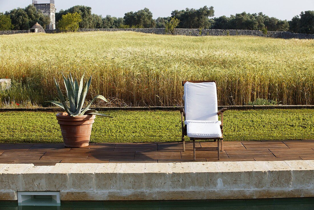 Agave in a pot and a lounge chair with a cushion, poolside with a view of a field of grain