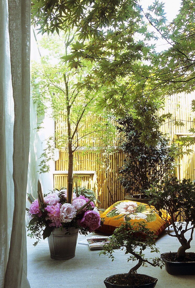 Bonsaibäume und Blumenvase auf Terrassenboden vor Zaun aus Bambushölzern