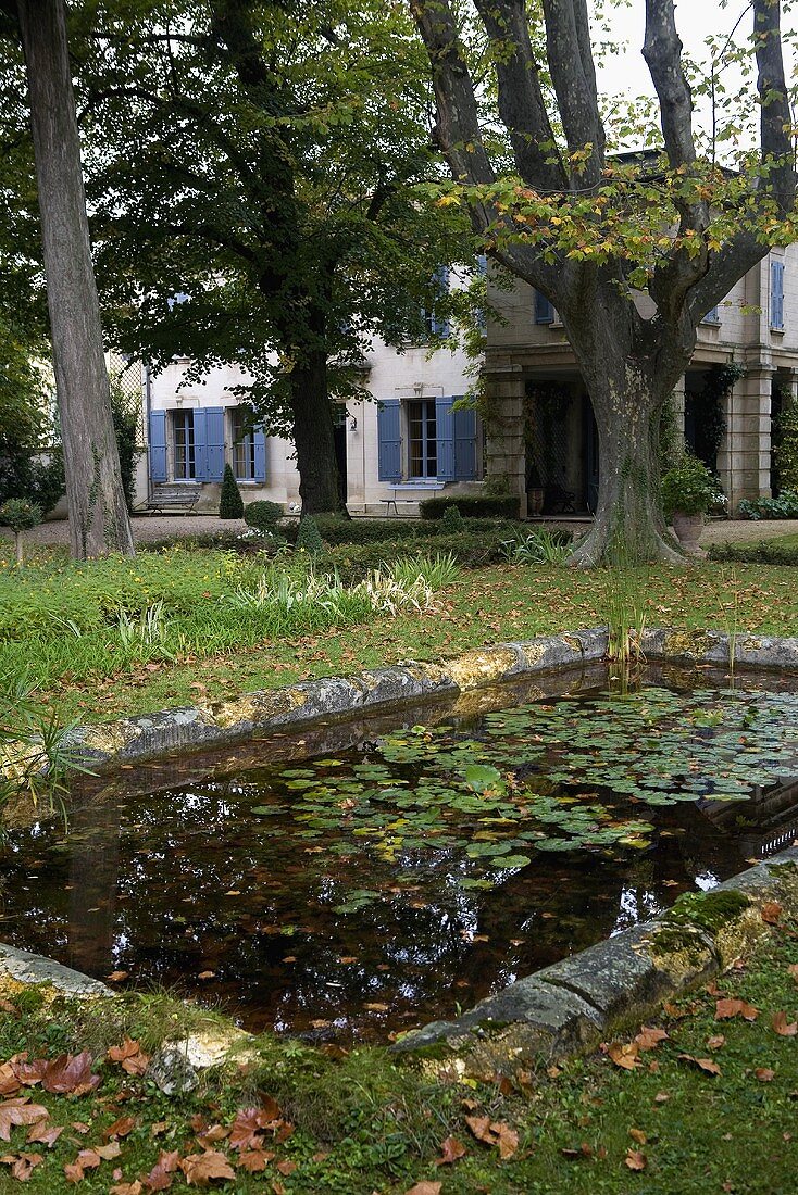 Herbststimmung im Garten mit Seerosenblätter im Teich und altem Landhaus hinter Bäumen