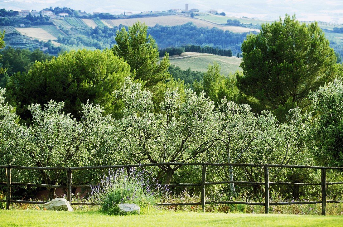 Blick über Gartenzaun auf typisch italienische Hügellandschaft